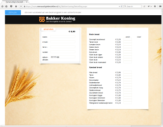 voorbeeld excel formulier