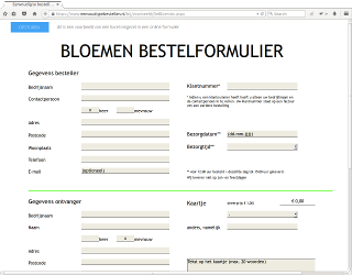 voorbeeld excel formulier